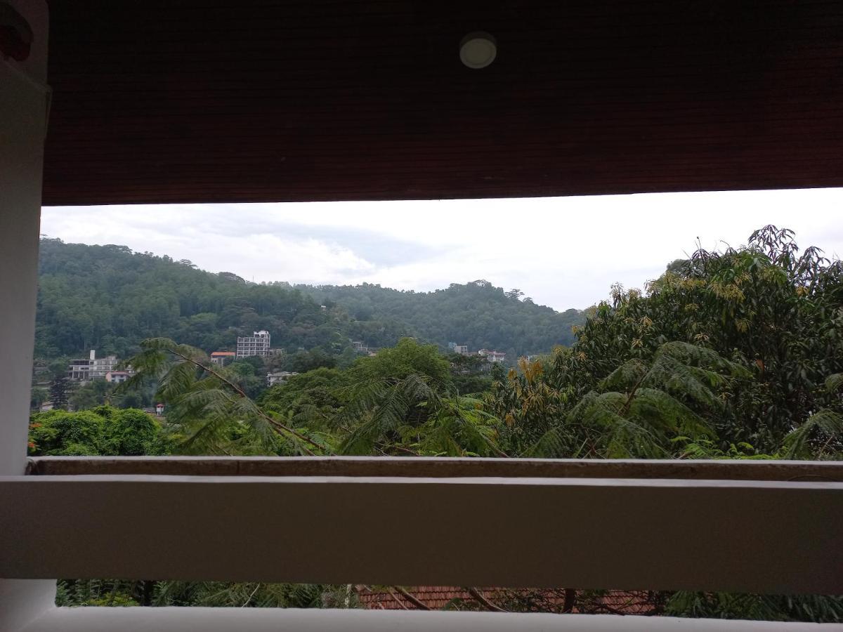 Lazy Bear Best Hostel In Kandy Extérieur photo