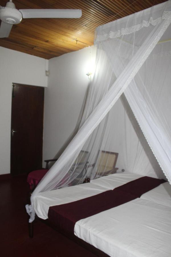 Lazy Bear Best Hostel In Kandy Extérieur photo