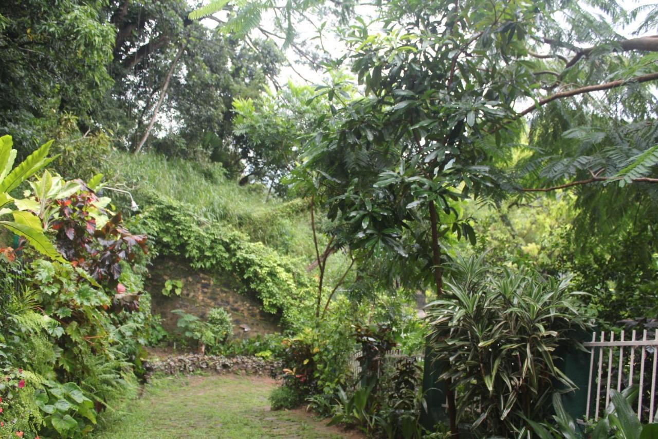 Lazy Bear Best Hostel In Kandy Extérieur photo