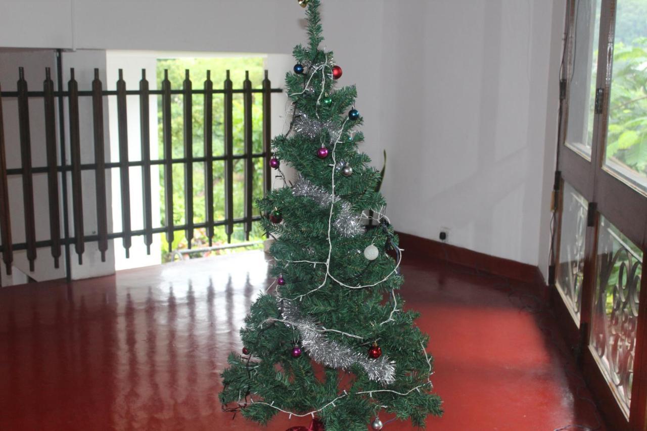 Lazy Bear Best Hostel In Kandy Extérieur photo