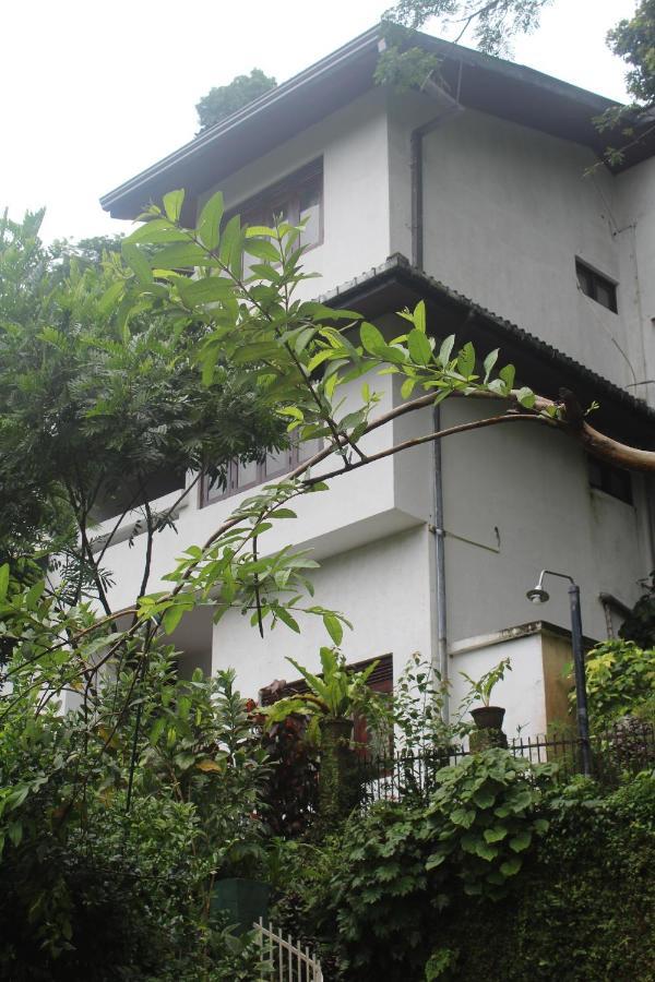 Lazy Bear Best Hostel In Kandy Extérieur photo