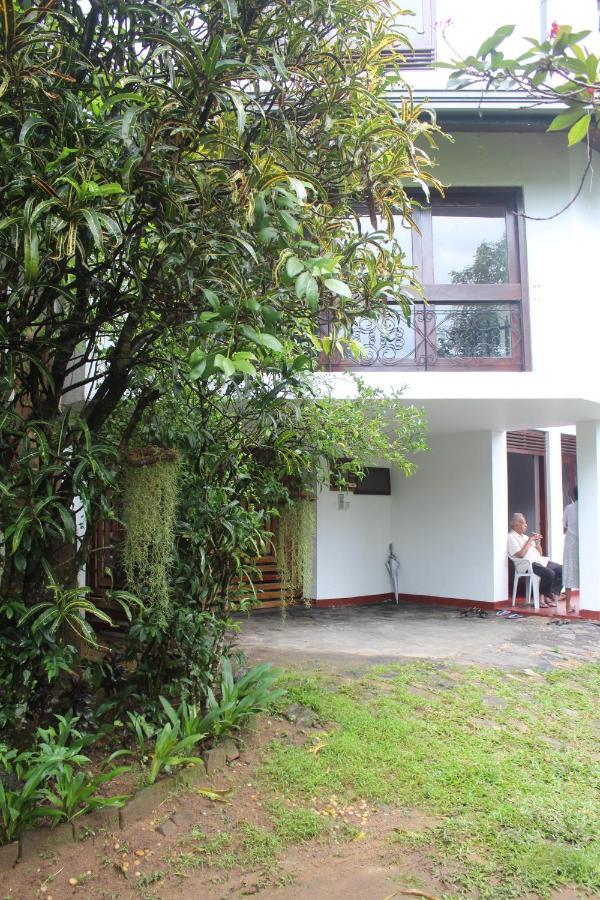 Lazy Bear Best Hostel In Kandy Extérieur photo