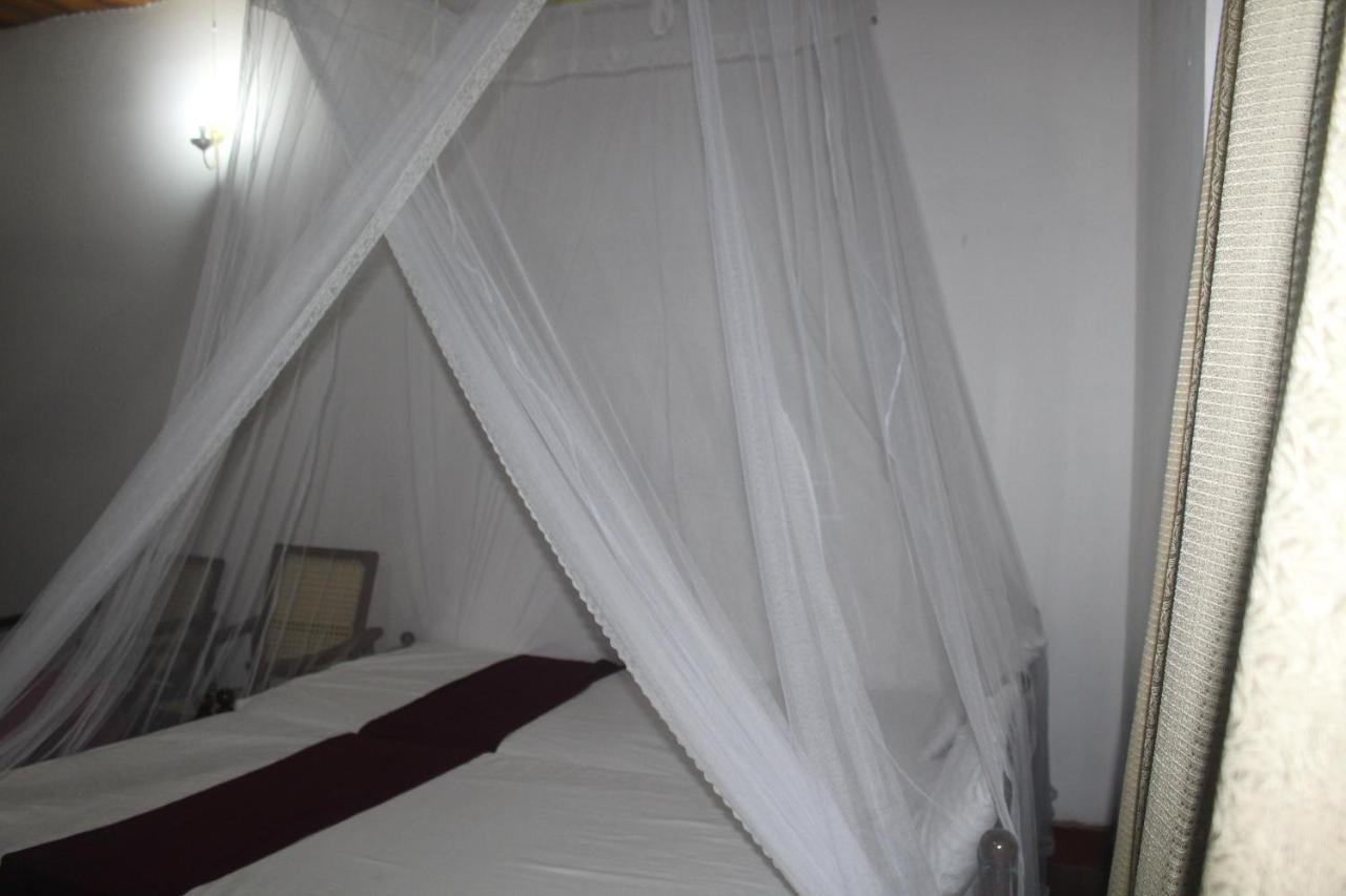 Lazy Bear Best Hostel In Kandy Extérieur photo