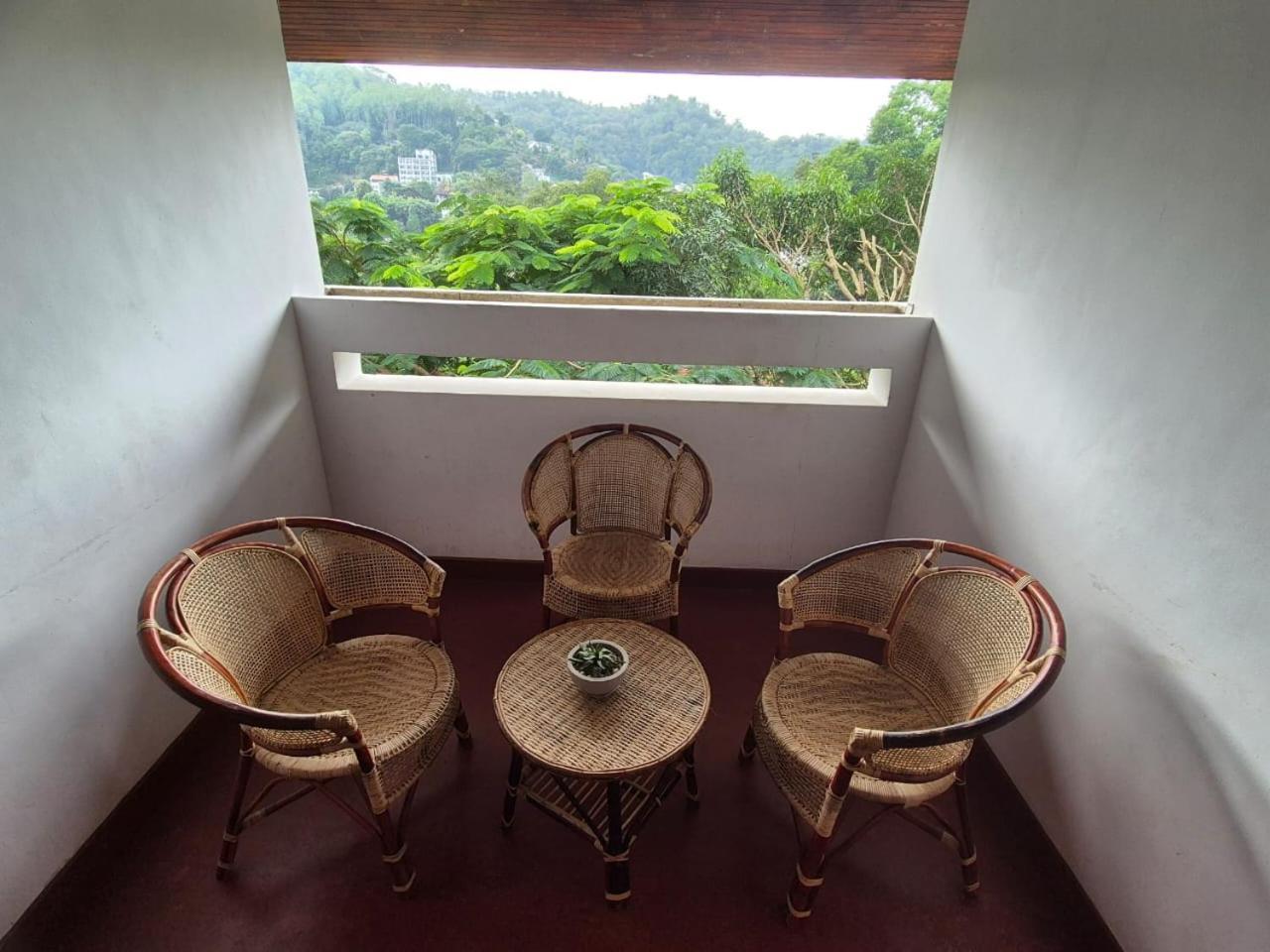 Lazy Bear Best Hostel In Kandy Extérieur photo