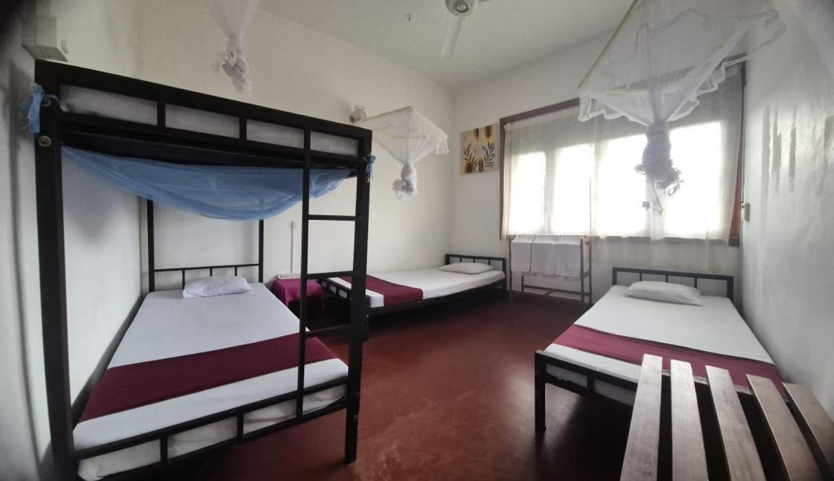 Lazy Bear Best Hostel In Kandy Extérieur photo