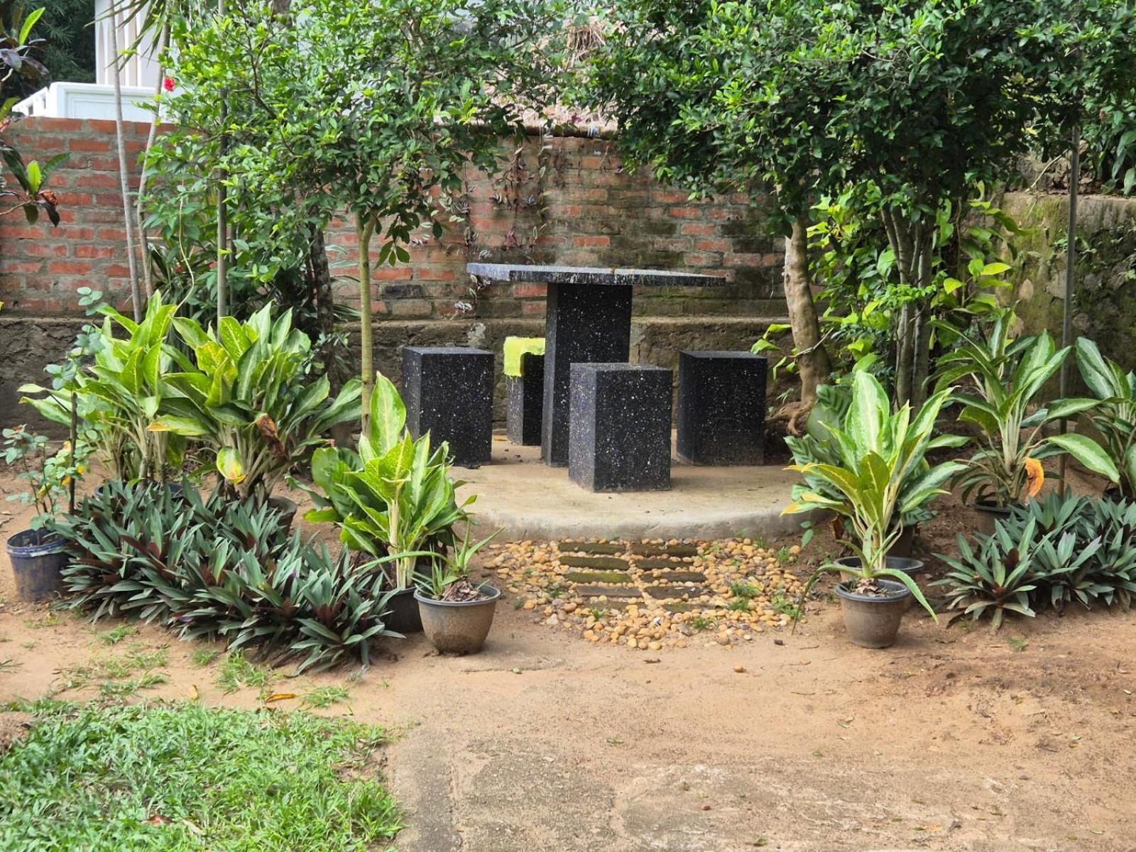 Lazy Bear Best Hostel In Kandy Extérieur photo