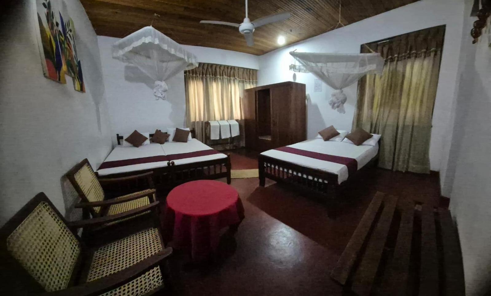 Lazy Bear Best Hostel In Kandy Extérieur photo