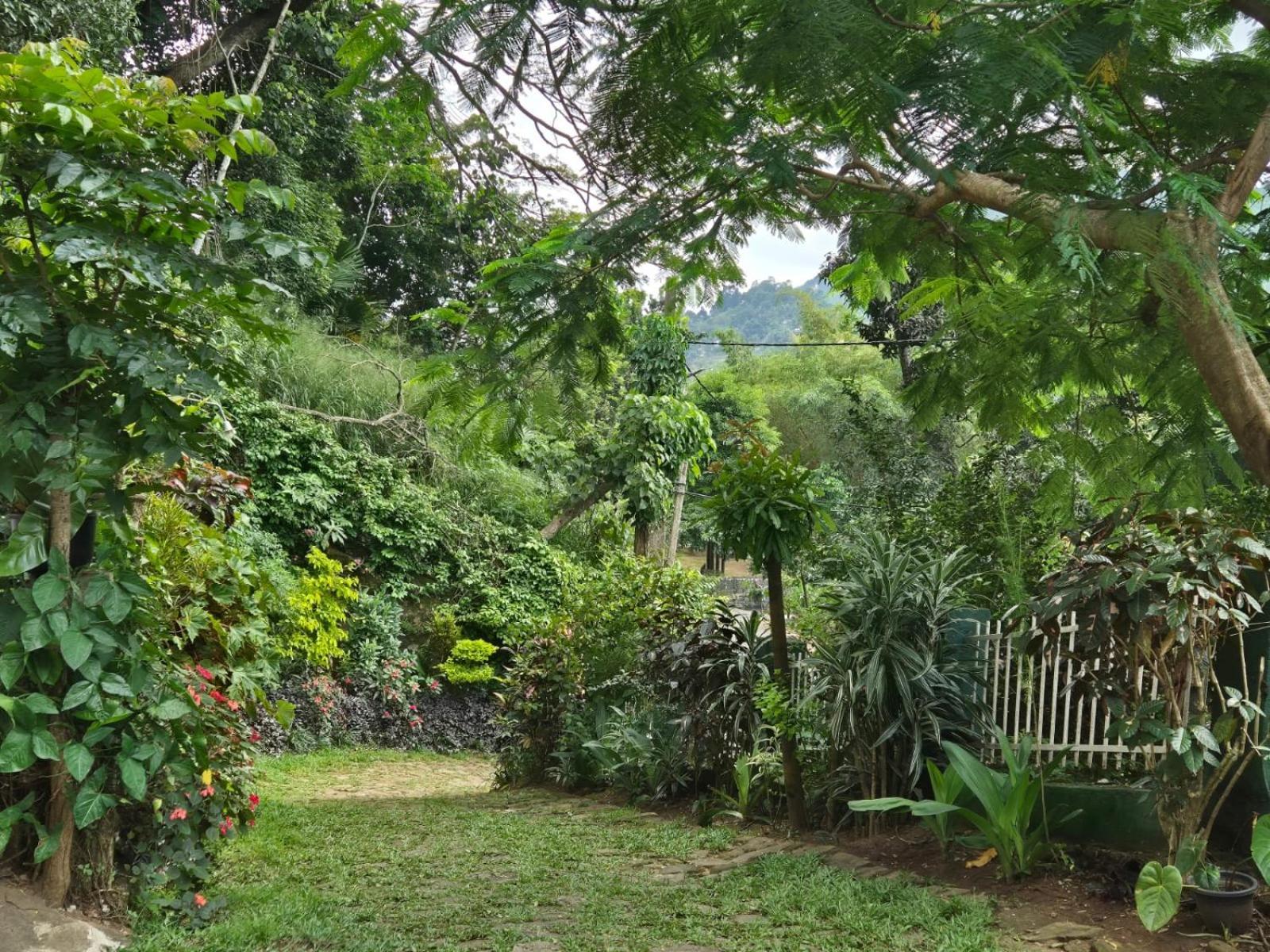 Lazy Bear Best Hostel In Kandy Extérieur photo